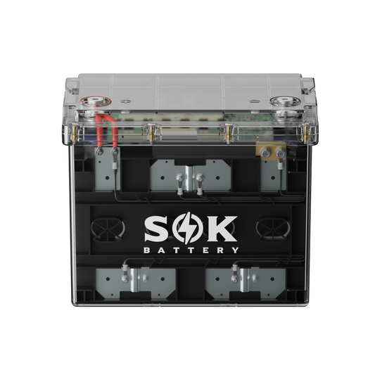 SOK SK12V100PC 12V 100Ah LiFePO4 Battery, Bluetooth, Clear Sealed IP65 Case, 1280Wh, 100A BMS, Deep Cycle RV & Marine
